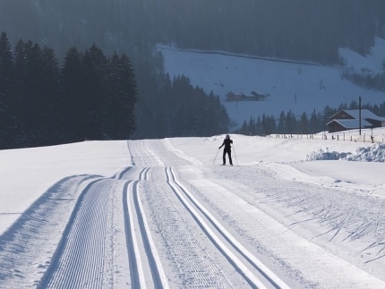 ski-langlauf