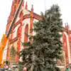 Christbaum - Bild: Anna Möller