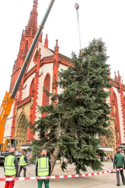 Christbaum - Bild: Anna Möller